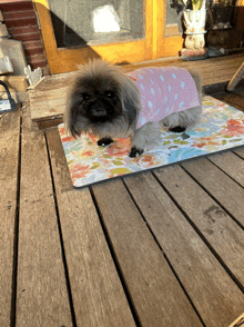 a small dog wearing a pink shirt is laying on a mat