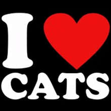 a sign that says `` i love cats '' with a red heart in the middle .