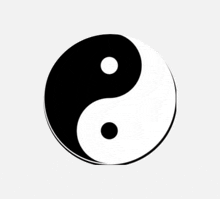 a black and white yin yang symbol on a white background .