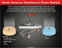 north america skateboard shoes market analysis report by type cupsole shoes and vulcanized sole shoes by end-user men and women