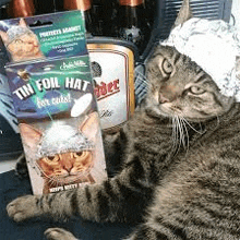 a cat wearing a tin foil hat is laying next to a box of tin foil hats .