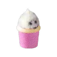 a cupcake with a dog on top of it