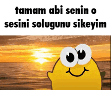 a cartoon character with big eyes is smiling in front of a sunset over the ocean .