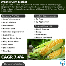 a poster titled organic corn market shows a picture of corn on the cob