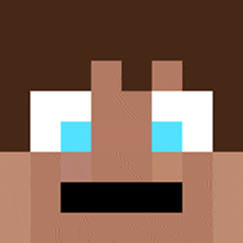 a close up of a minecraft character 's face