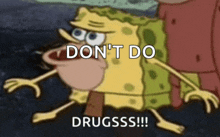 a picture of spongebob saying " do n't do drugsss !!! "