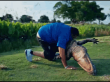 a man in a blue shirt is crawling on the grass next to a dinosaur