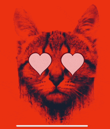 a cat with hearts in its eyes against a red background