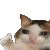 a cat is giving a high five in a pixel art style .