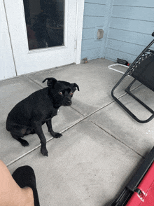 a black dog is sitting on a concrete porch next to a chair