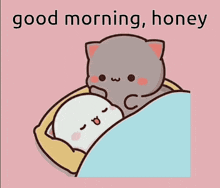 a cartoon of two cats laying in bed with the words good morning honey