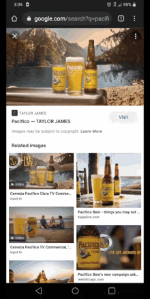 a screenshot of a google search for pacifico