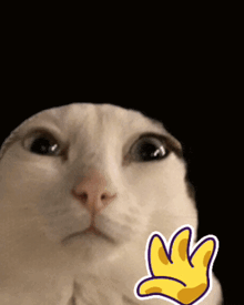 a close up of a cat 's face with a sticker of a hand