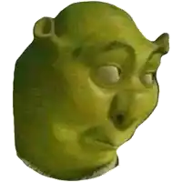 a close up of shrek 's head on a white background