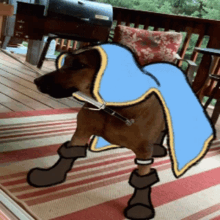 a dog wearing boots and a blue cape