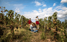 a family posing in a vineyard with a blue sky in the background