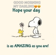 snoopy and woodstock are standing next to each other and saying good morning my darling hope your day is as amazing as you are !