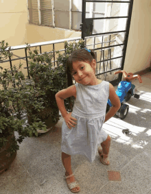 a little girl in a striped dress is standing in front of a blue tricycle