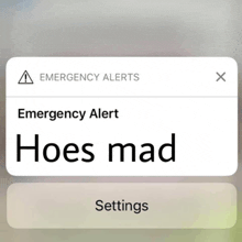 a phone screen shows an emergency alert that says " hoes mad "