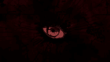 a close up of a red eye against a black background