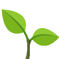 a plant with two green leaves and a stem on a white background