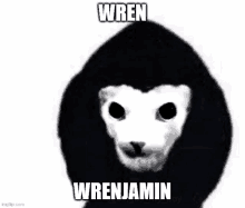 a cat wearing a black hoodie with the words wren wrenjamin written on it .