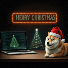 a dog wearing a santa hat is laying in front of a laptop that says merry christmas on it