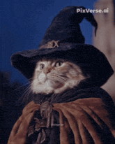 a cat wearing a witch hat and a cape