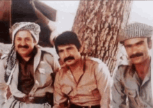 three men are posing for a picture with one wearing a striped hat