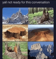 a picture of a tree stump with mountains in the background and the caption yall not ready for this conversation