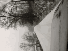 a car is driving down a snowy road with trees on the side