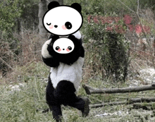 a person dressed as a panda bear is carrying a smaller panda bear on their back