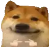 a shiba inu dog is smiling and pointing at the camera .