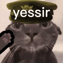 a cat wearing a military hat with the word yessir on it