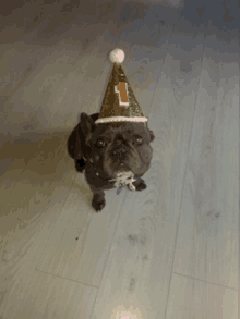 a dog wearing a party hat with a number 1 on it