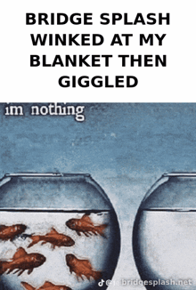bridge splash winked at my blanket then gigged im nothing