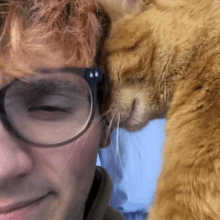 a close up of a man wearing glasses with a cat laying on his face .