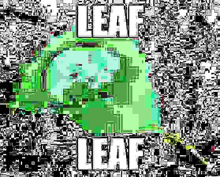 a black and white image of a green leaf with the words `` leaf leaf '' .