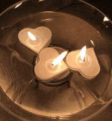 three heart shaped candles are floating in a glass bowl