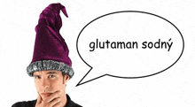 a man wearing a purple wizard hat with a speech bubble that says glutaman sodny .