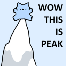 a cartoon of a cat on top of a snowy mountain with the words wow this is peak below it