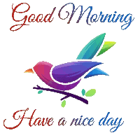 a colorful bird sits on a branch with the words " good morning have a nice day " below it