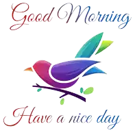 a colorful bird sits on a branch with the words " good morning have a nice day " below it