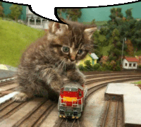 a kitten playing with a toy train on a track