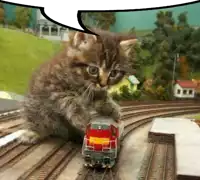 a kitten playing with a toy train on a track