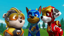 three paw patrol dogs are standing next to each other in a field