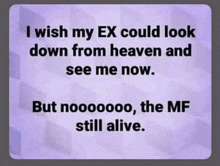 i wish my ex could look down from heaven and see me now .