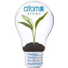 a light bulb with a plant inside of it and the word atomy on it