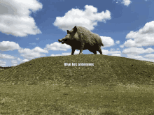 a statue of a boar standing on top of a grassy hill with vive les ardennes written on the bottom