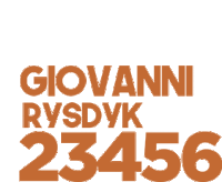 a logo for giovanni rysdyk 23456 in orange letters